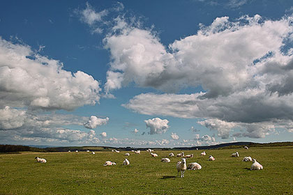 There are plenty of scenic vistas on the trails in England, helping make this list of best British hikes so special. 