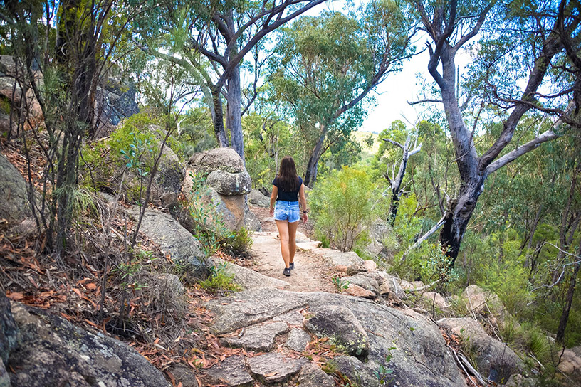 Girraween National Park