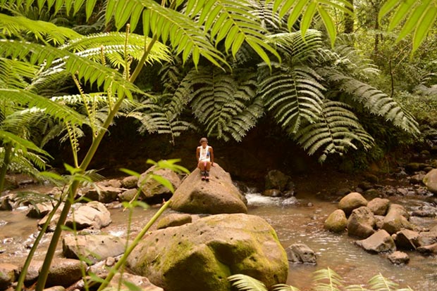 Maunawili Falls Maunawili Falls