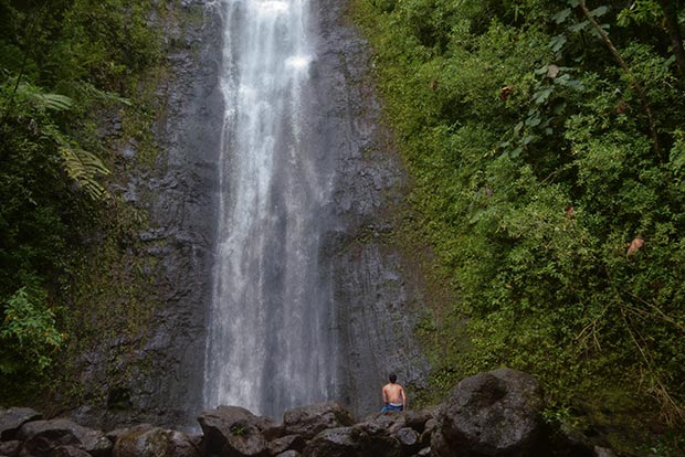 Manoa Falls Manoa Falls