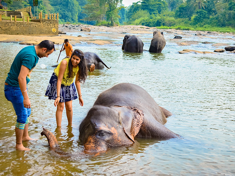 elephant orphanage