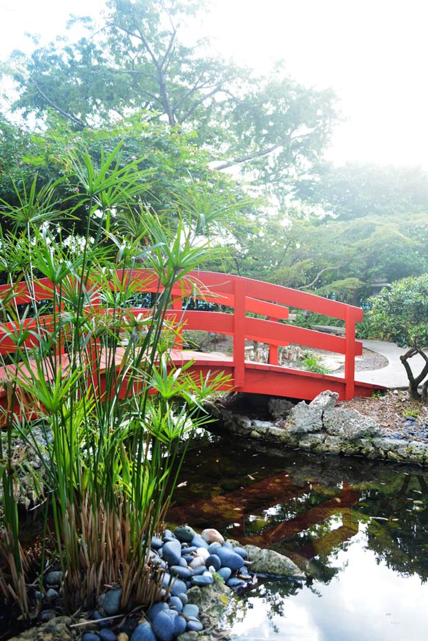 Miami Beach Botanical Gardens