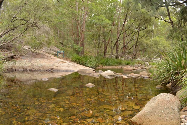 Mt Barney creek