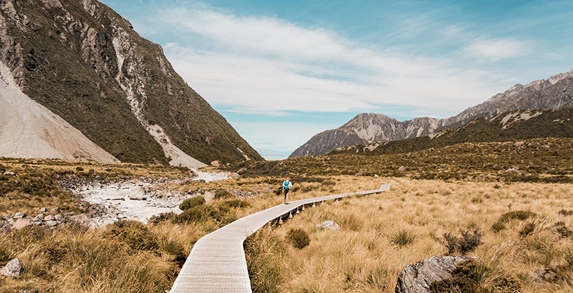 new zealand walk