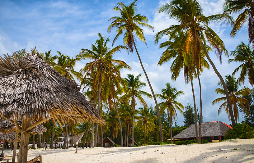 beach in africa