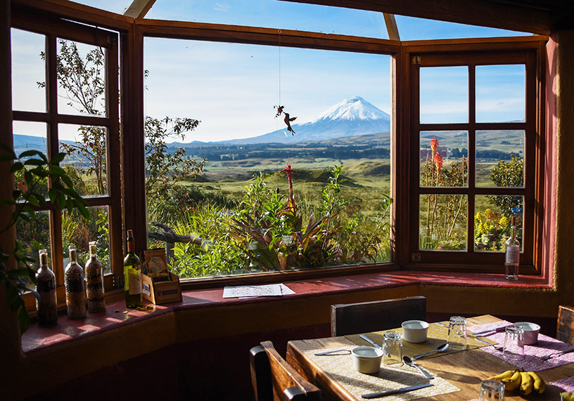 looking out of window in ecuador