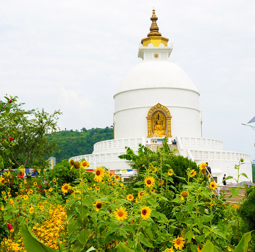 World Peace Pagoda