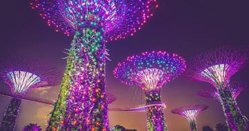 super tree grove singapore