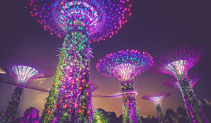 supertree grove singapore