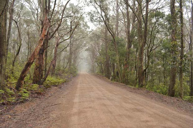 Kanangra Boyd National Park