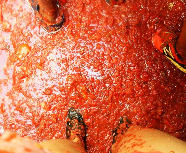Spain La Tomatina Festival